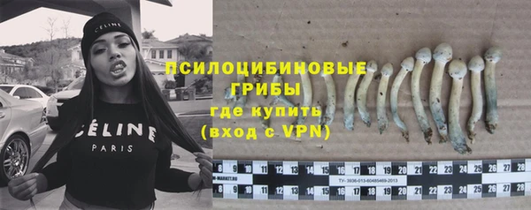 mdpv Заволжье